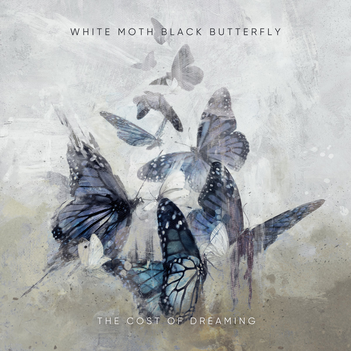 White Moth Black Butterfly The Cost Of Dreaming